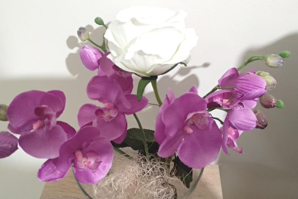 Theano'S Cozy & Quiet Lux Central Flat - Wifi & Full Amenities Patras Buitenkant foto